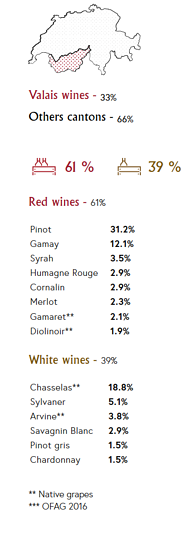 Hospitality_Insights_Valais_Wines