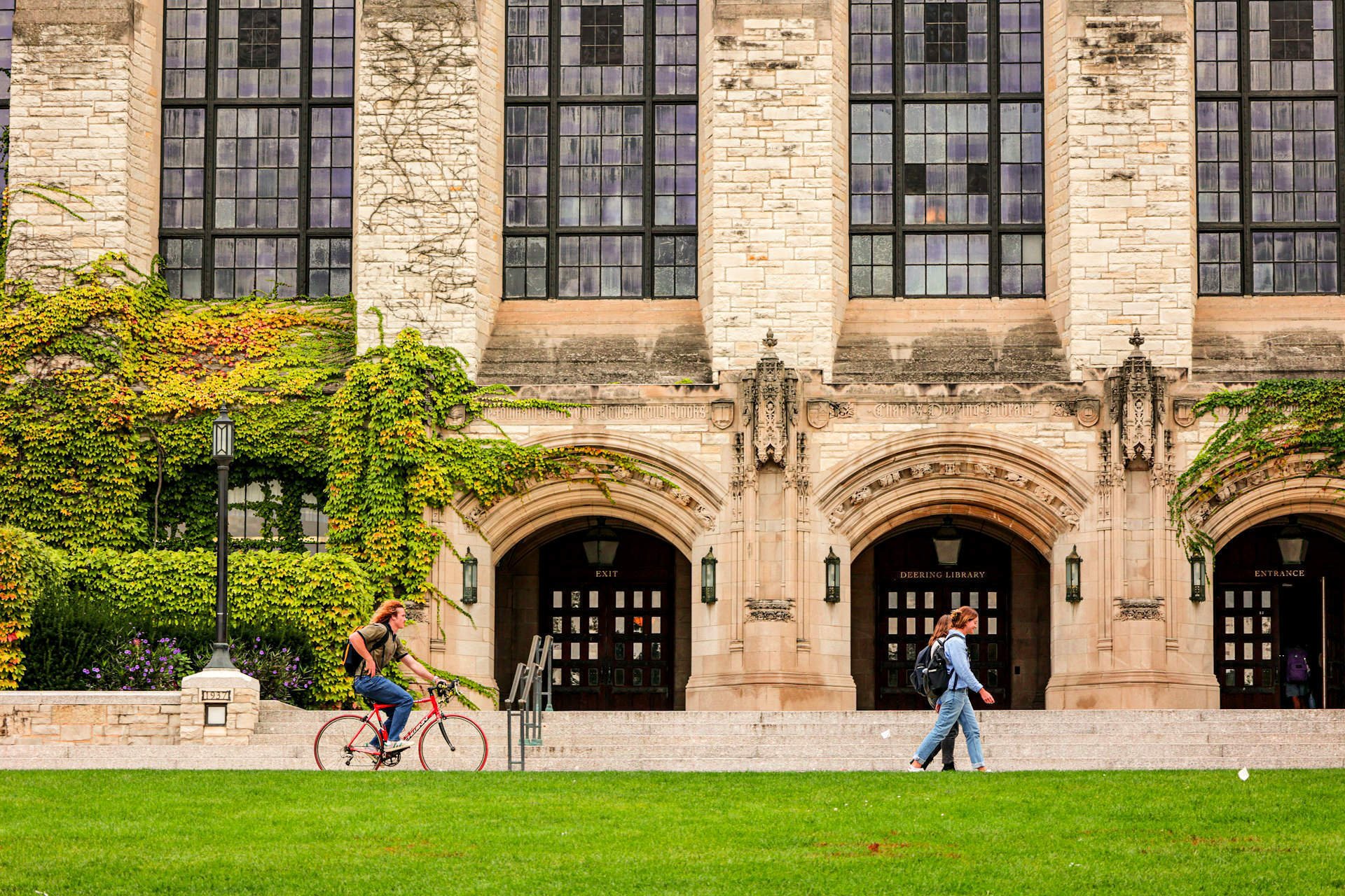 College students hanging around the campus