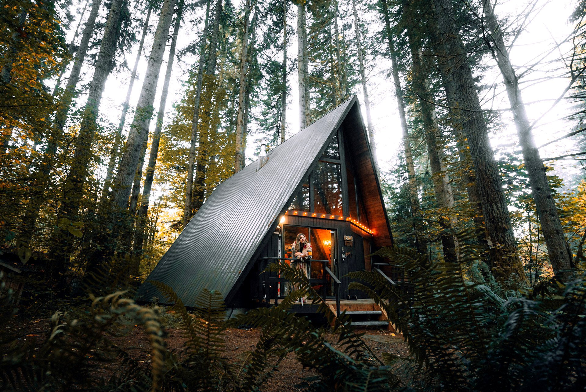 A cozy forest cabin