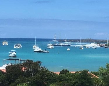 sustainability on the Galapagos Islands