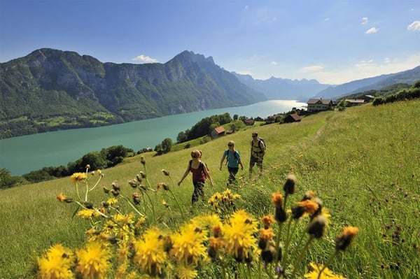 Take a hike at Heidiland